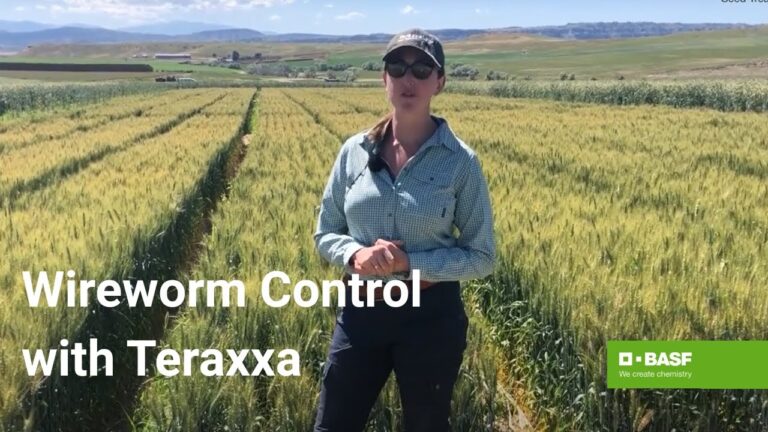 Reddy Anna ID: Unlocking the Benefits of a Modern Digital Identity